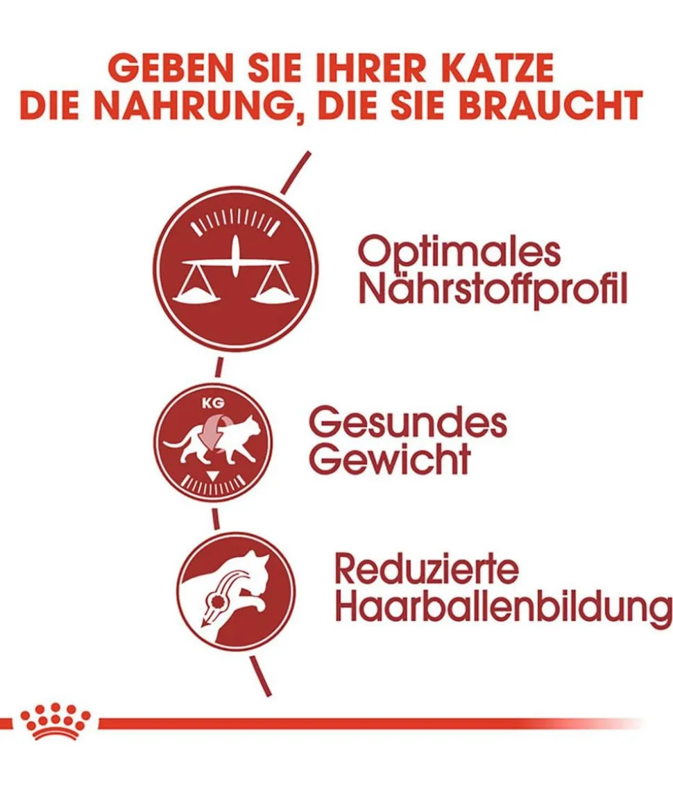 ROYAL CANIN® Trockenfutter für Katzen Fit
