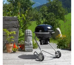 Rösle Holzkohle-Kugelgrill No.1 F50 AIR