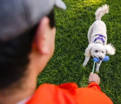 RUFFWEAR® Gummi-Wurfspielzeug Gourdo™