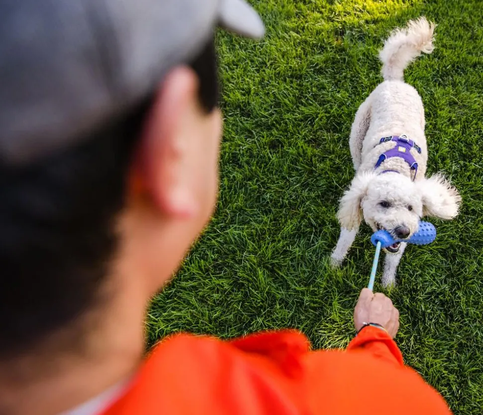 RUFFWEAR® Gummi-Wurfspielzeug Gourdo™