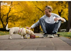 RUFFWEAR® Hundegeschirr Flagline Harness 2.0
