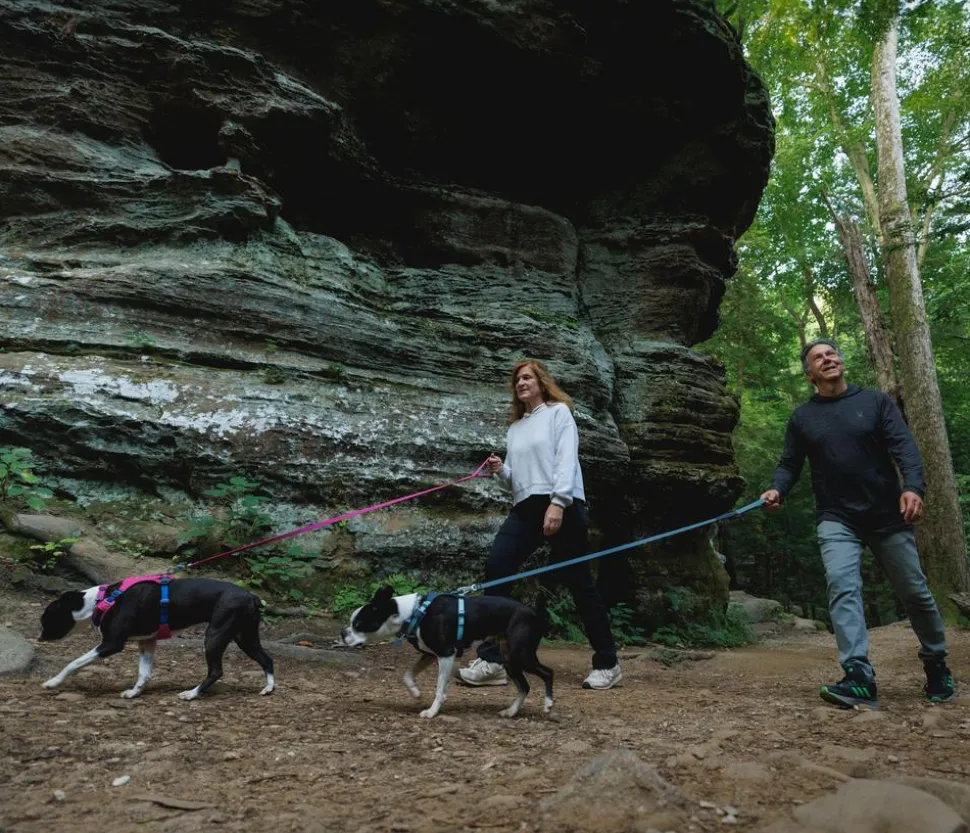 RUFFWEAR® Hundegeschirr Hi & Light™ Harness 2.0