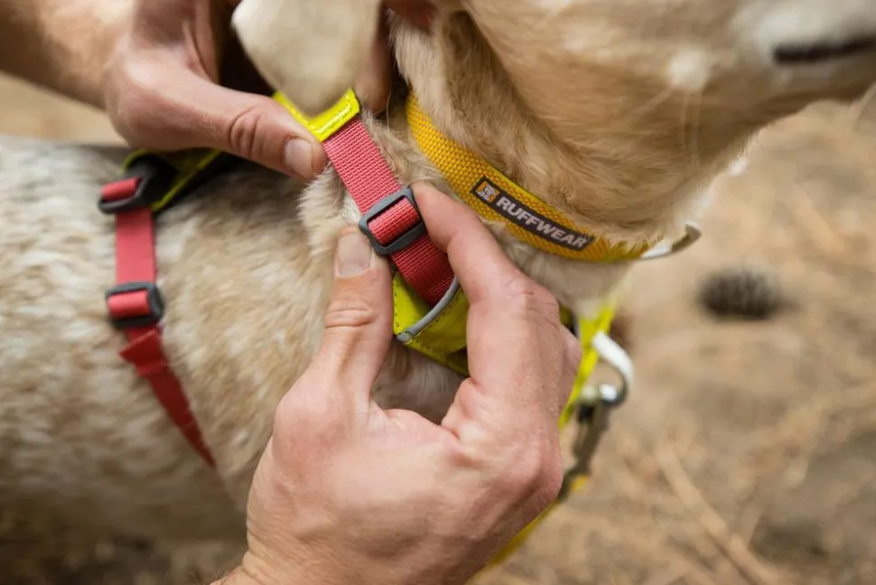 RUFFWEAR® Hundegeschirr Hi & Light™ Harness 2.0
