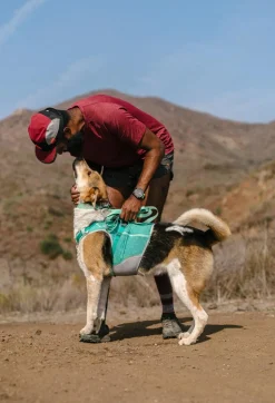 RUFFWEAR® Hundegeschirr Hi & Light™ Harness 2.0