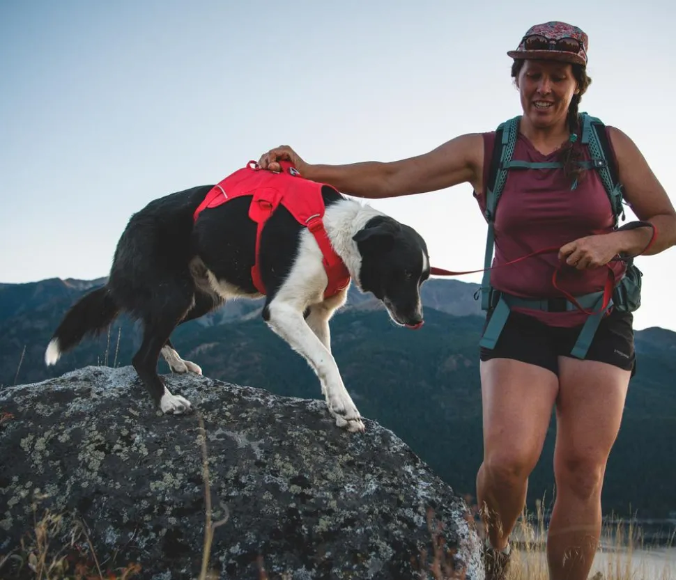 RUFFWEAR® Hundegeschirr Web Master™