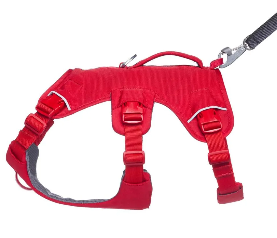 RUFFWEAR® Hundegeschirr Web Master™