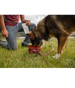 RUFFWEAR® Hundehalsband Flat Out