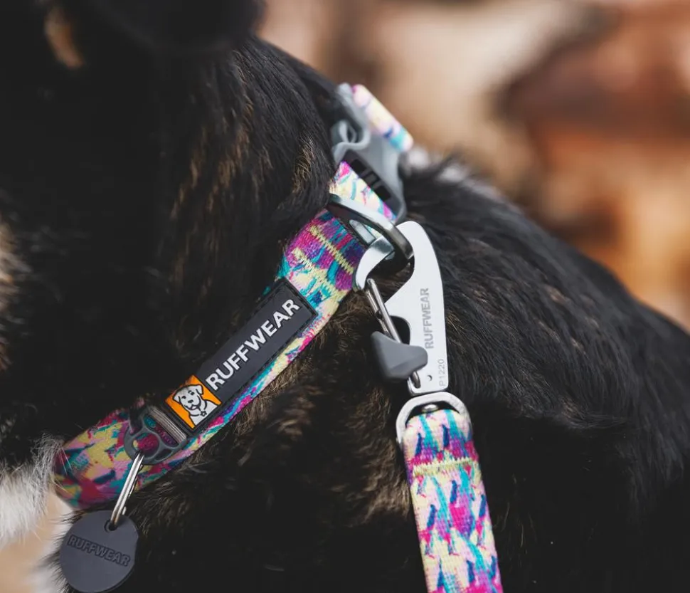 RUFFWEAR® Hundehalsband Front Range™
