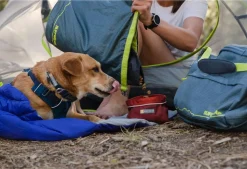 RUFFWEAR® Hundehalsband Front Range™