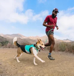RUFFWEAR® Hundehalsband Hi & Light™ Collar