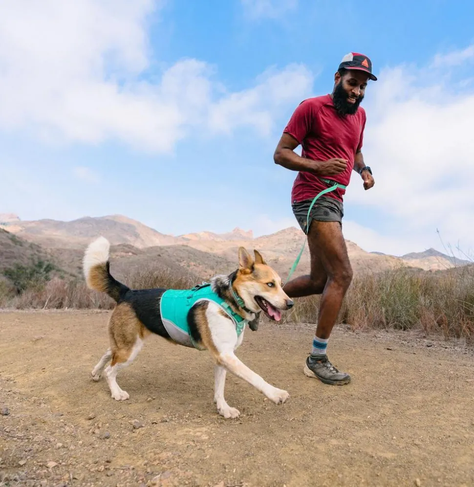 RUFFWEAR® Hundehalsband Hi & Light™ Collar
