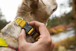 RUFFWEAR® Hundehalsband Hi & Light™ Collar