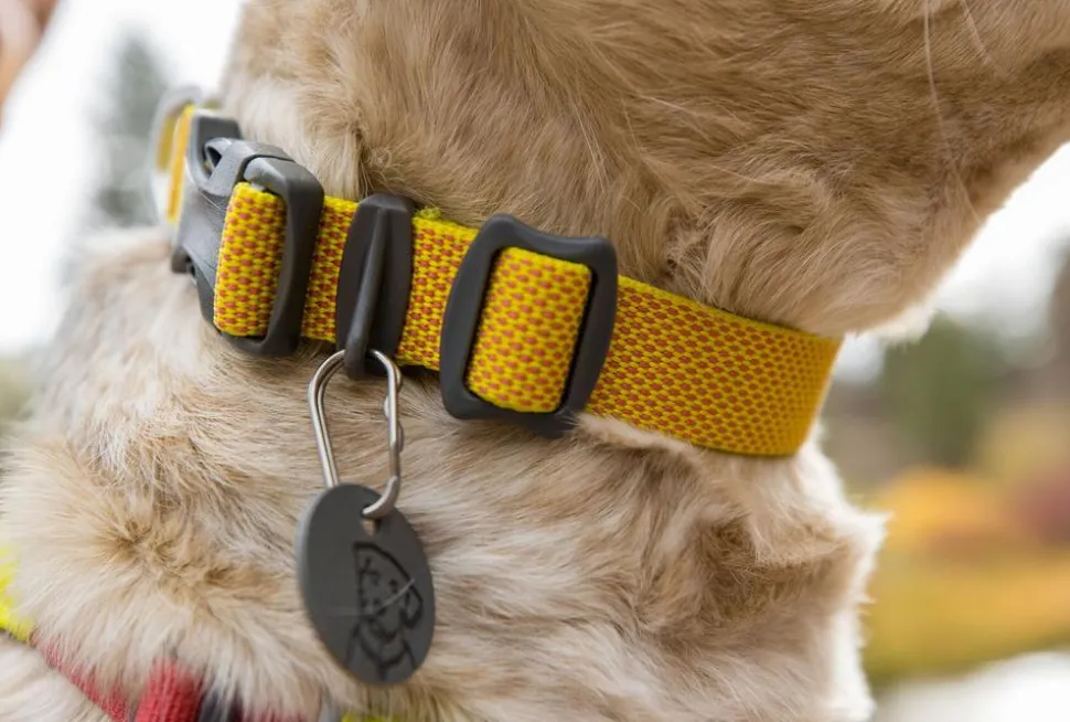 RUFFWEAR® Hundehalsband Hi & Light™ Collar