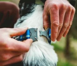 RUFFWEAR® Hundehalsband Top Rope™ mit Metallschnalle