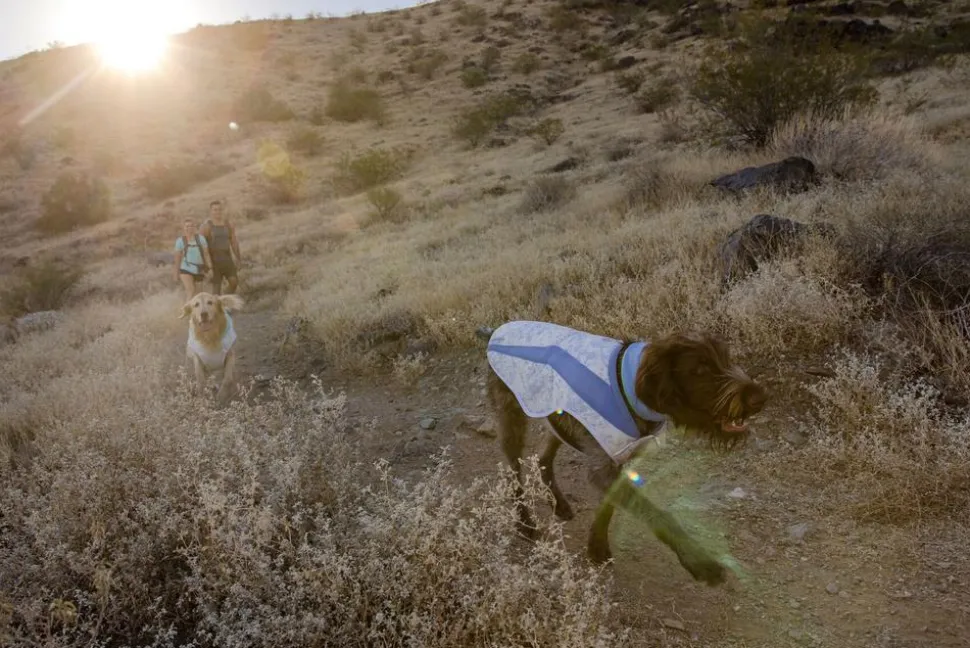 RUFFWEAR® Hunde-Kühlweste Swamp Cooler™ Vest