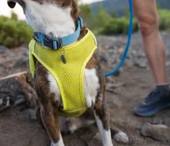 RUFFWEAR® Hunde-Laufweste Trail Runner™