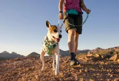 RUFFWEAR® Hundeleine Hi & Light™ Leash, 1,4 m