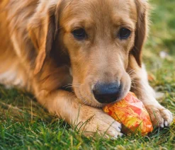 RUFFWEAR® Hundespielzeug Gnawt-a-Cone™, ca. B7,5/H10 cm