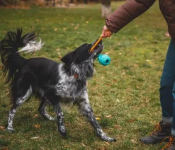 RUFFWEAR® Hundespielzeug Huck-a-Cone™, ca. Ø7,5/T10 cm