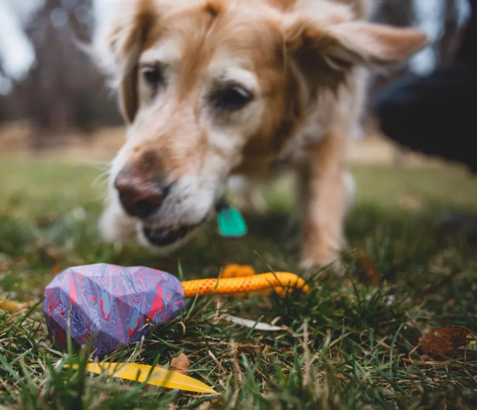 RUFFWEAR® Hundespielzeug Huck-a-Cone™, ca. Ø7,5/T10 cm