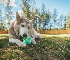 RUFFWEAR® Hundespielzeug Morel™