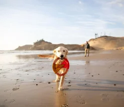 RUFFWEAR® Hundespielzeug Pacific Ring™