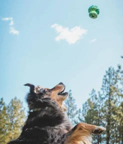 RUFFWEAR® Hundespielzeug Toadstool™