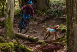 RUFFWEAR® Hundeweste Lumenglow™ Hi-Vis