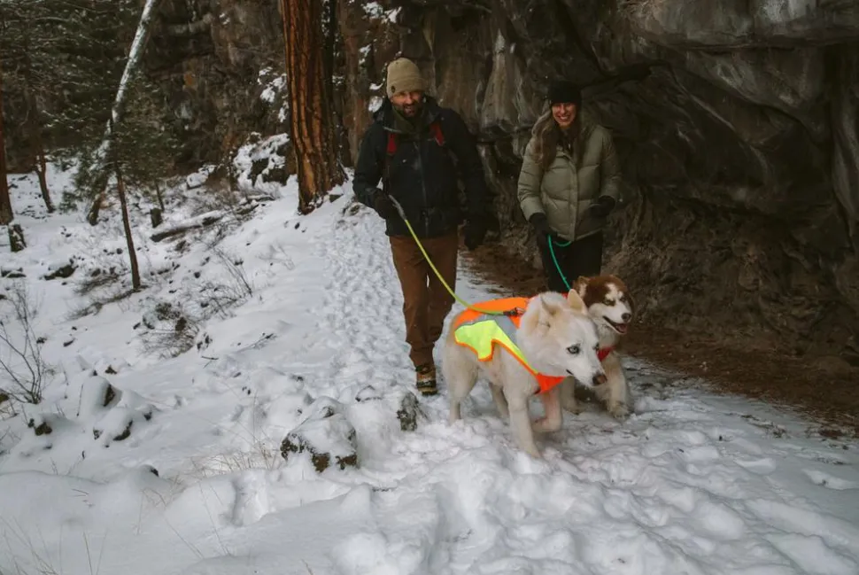 RUFFWEAR® Hundeweste Lumenglow™ Hi-Vis
