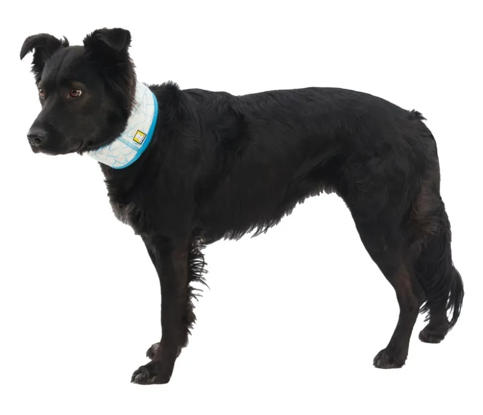 RUFFWEAR® kühlendes Hundehalstuch Swamp Cooler™