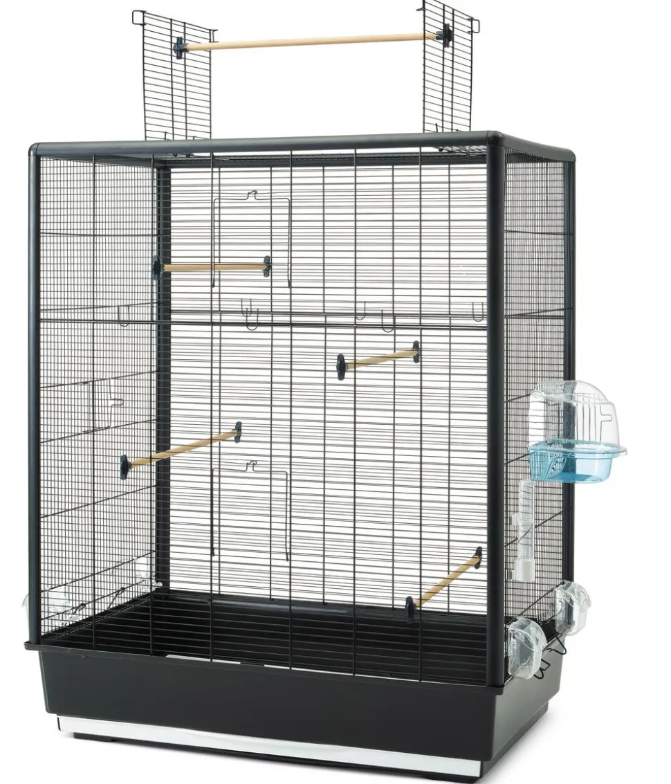 SAVIC Vogelheim Primo 60 open Empire