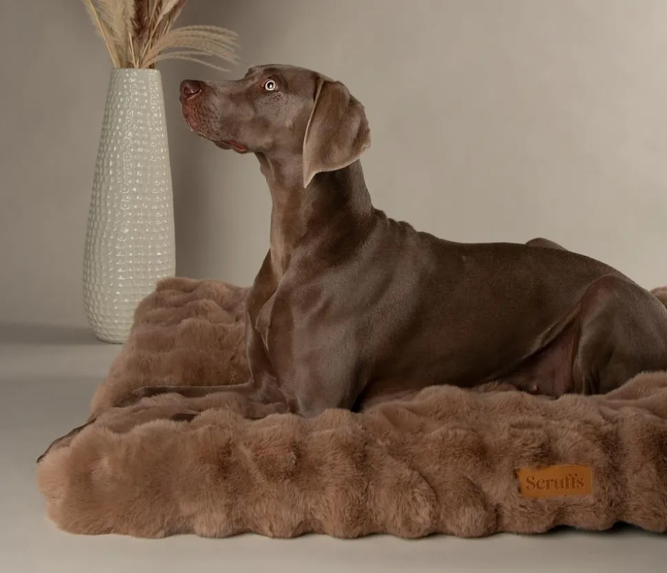 Scruffs Hundematratze Alpine Matress