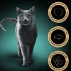 Sheba® Nassfutter für Katzen Delikatesse in Gelee, Thunfisch, 28 x 85 g
