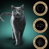Sheba® Nassfutter für Katzen Delikatesse in Gelee, Truthahn, 28 x 85 g