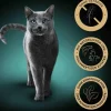 Sheba® Nassfutter für Katzen Nature's Collection in Sauce Multipack Adult, Feine Vielfalt, 40 x 85 g
