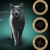 Sheba® Nassfutter für Katzen Sauce Collection Multipack Adult, Feine Vielfalt, 32 x 95 g
