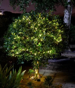 Smart Garden Solarlichterkette