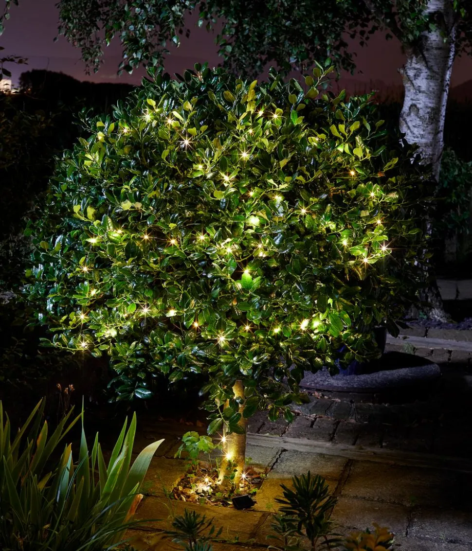 Smart Garden Solarlichterkette