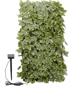 Smart Garden Solar-Spalier Efeu, ca. 180 cm