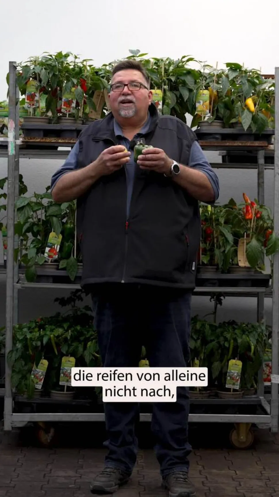 Snackpaprika, rot