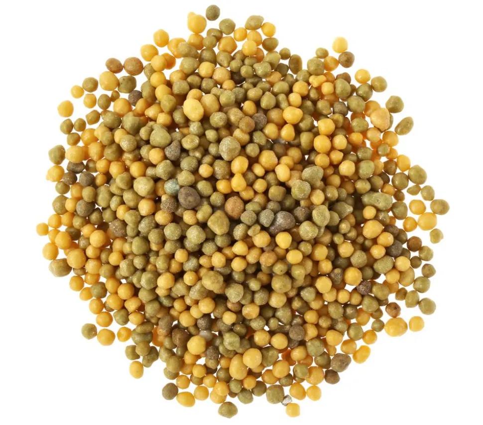 Substral® Langzeit Depotdünger Balkonblumen
