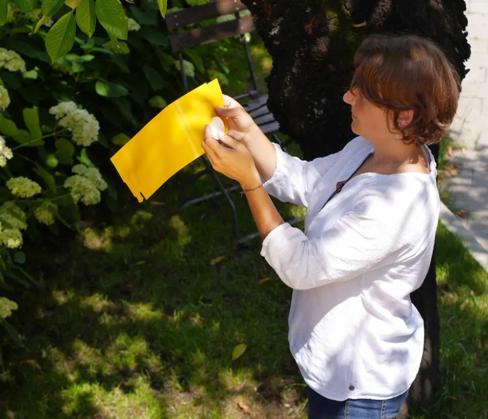 Substral® Naturen® Kirsch- & Walnussfruchtfliegen Fallensystem, 3 Stk.