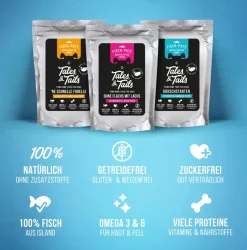 Tales & Tails Paté-Nassfutter für Hunde Ohne Flachs mit Lachs, 12 x 100 g