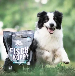 Tales & Tails Soft-Trockenfutter für Hunde Noch ganz Fisch im Kopp