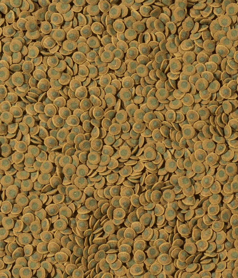 Tetra Fischfutter Pleco VeggieWafers