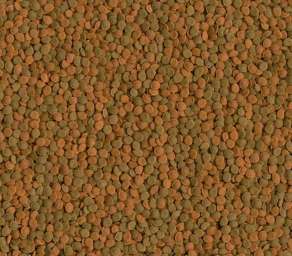 Tetra Fischfutter Wafer MiniMix, 100 ml