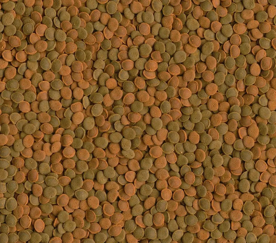 Tetra Fischfutter Wafer Mix