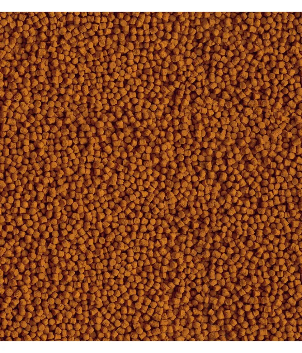 Tetra Pond Koi Mini Sticks, Fischfutter, 1 l