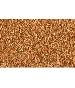 Tetra Pond Teichfischsnack Shrimp Mix