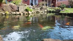 Tetra Pond Teichwasserpflege CrystalWater